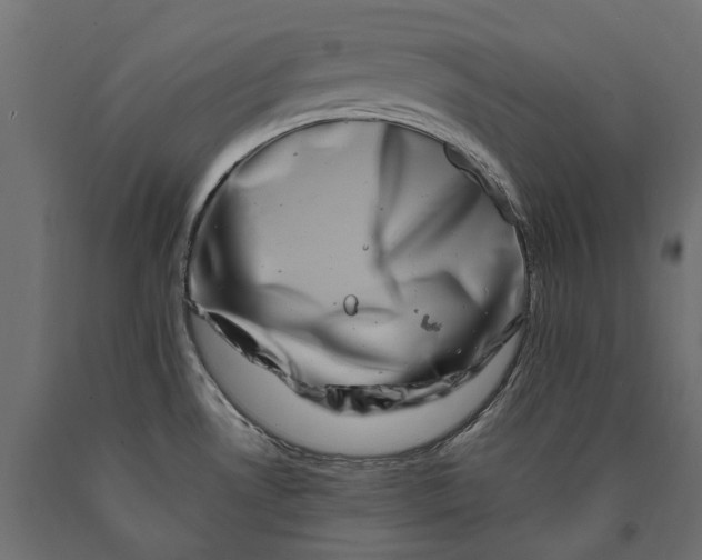 X0000090441530200708031141