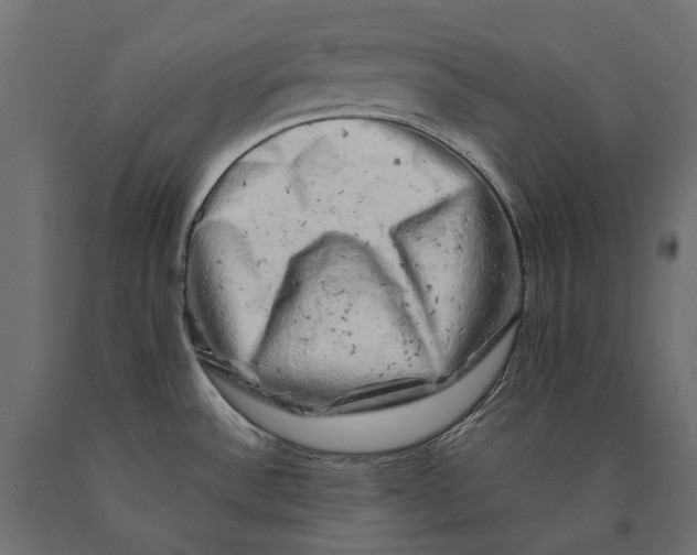 X0000090441532200708031141