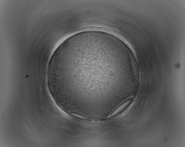 X0000090441533200708031141