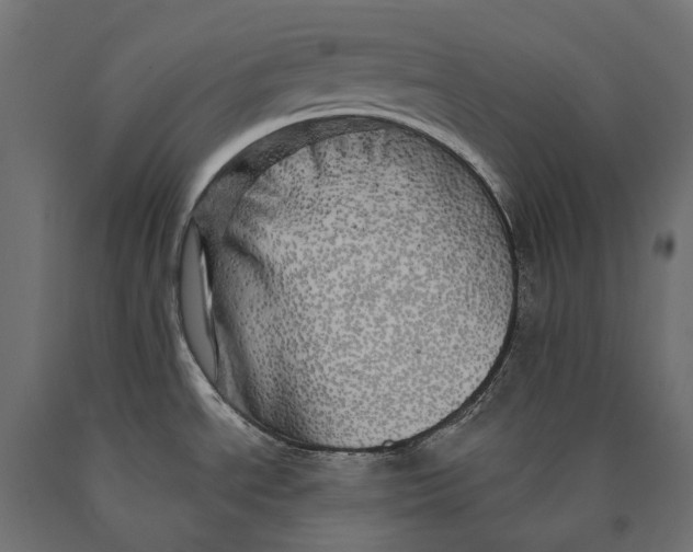 X0000090441534200708031141