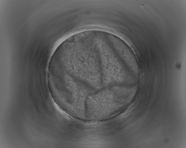 X0000090441535200708031141