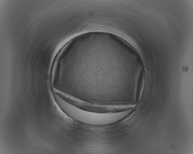 X0000090441536200708031141