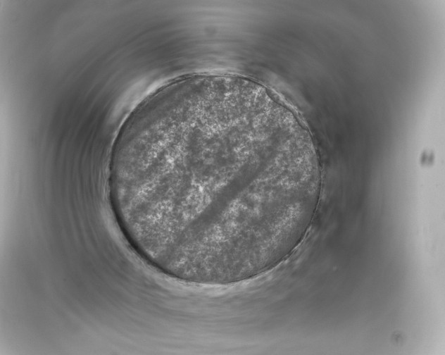 X0000090440002200708102037
