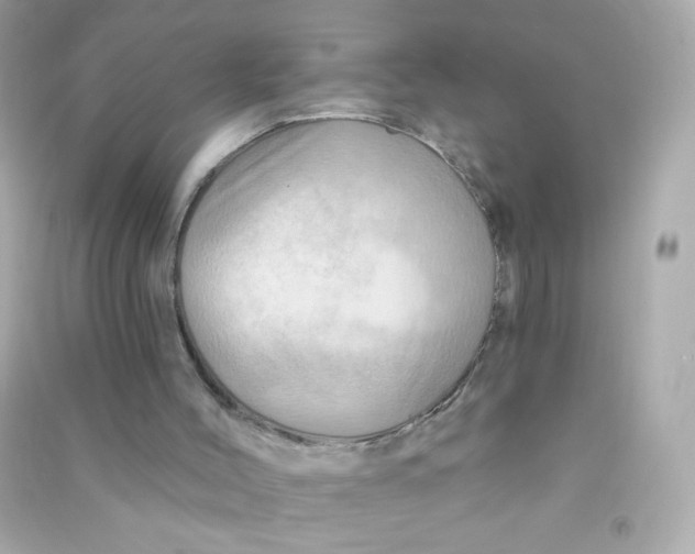 X0000090440004200708102037