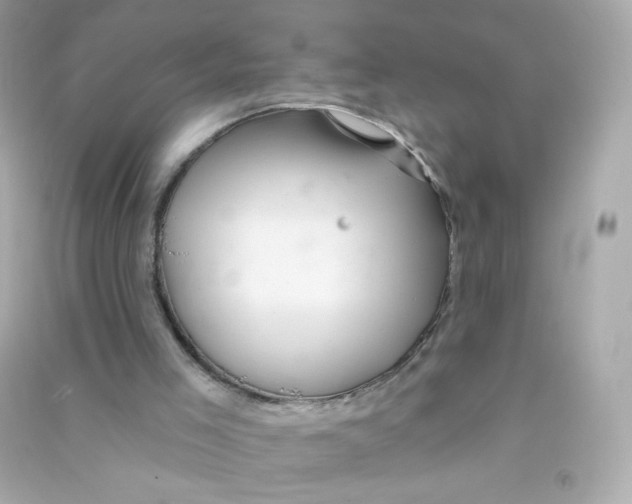 X0000090440005200708102037
