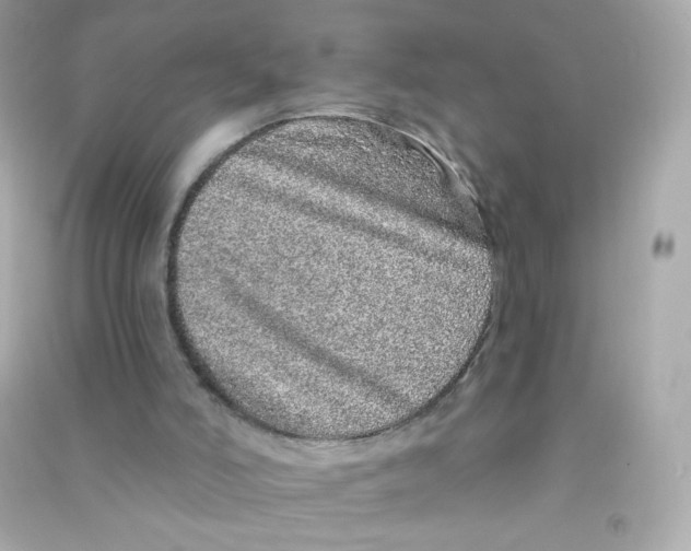 X0000090440006200708102037