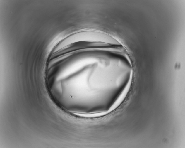X0000090440007200708102037