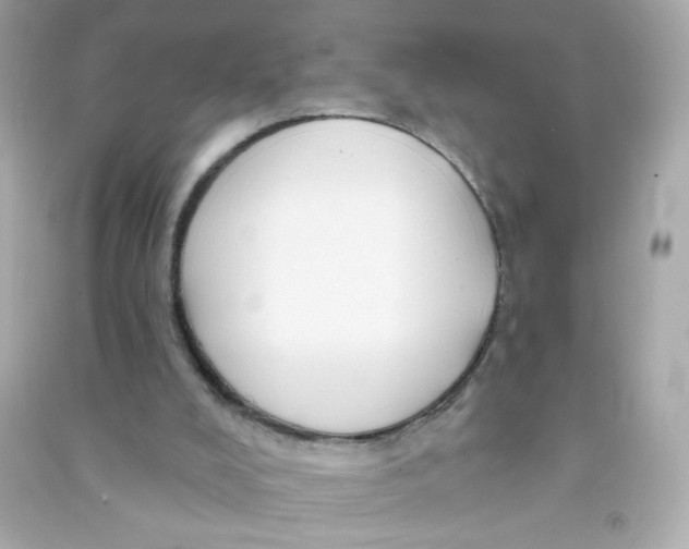 X0000090440008200708102037