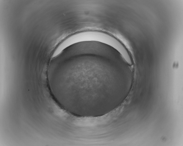 X0000090440009200708102037