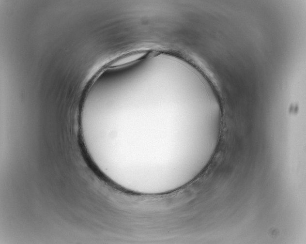 X0000090440011200708102037