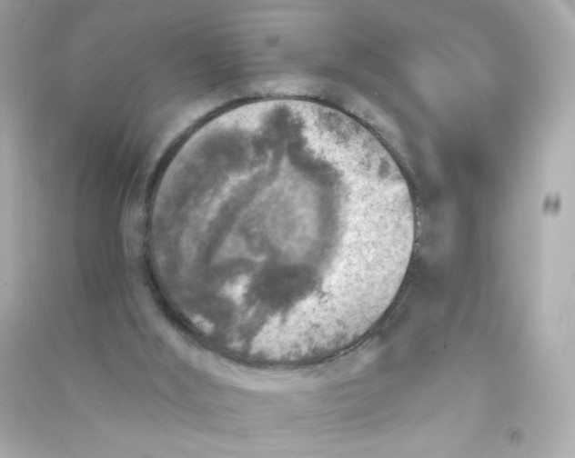 X0000090440012200708102037