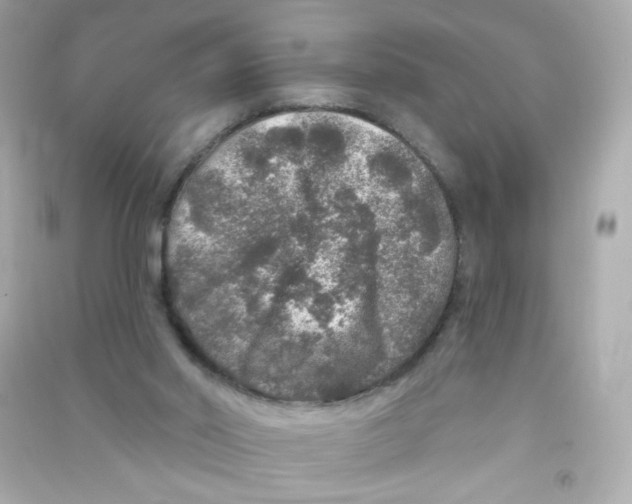 X0000090440014200708102037