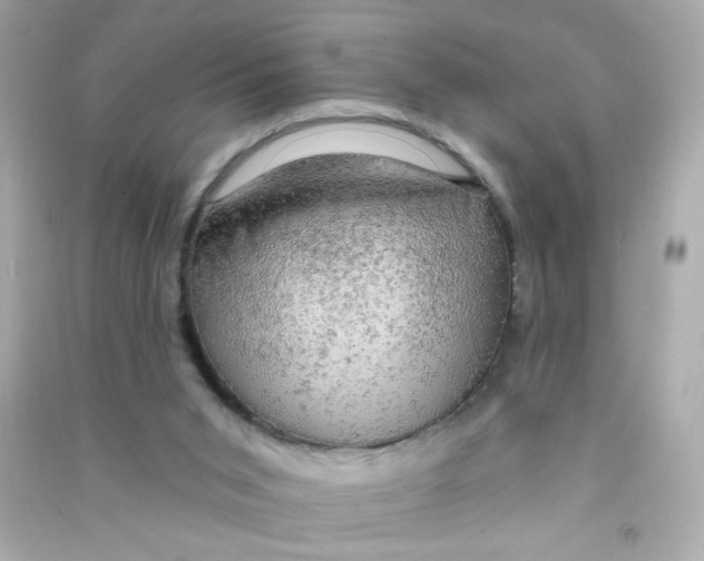 X0000090440015200708102037
