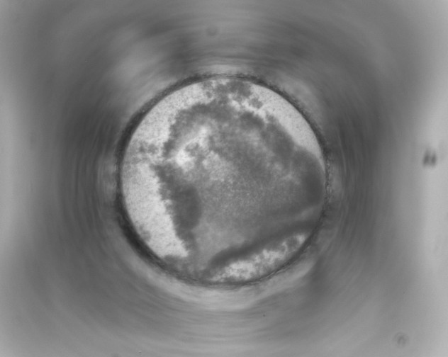 X0000090440016200708102037