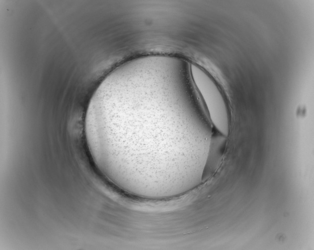 X0000090440017200708102037