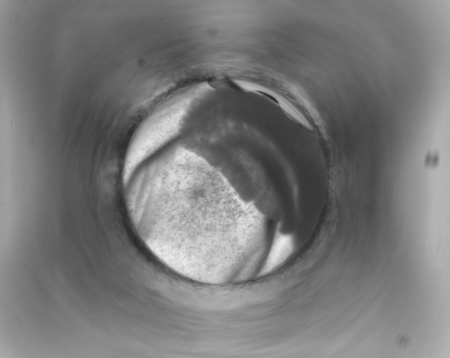 X0000090440018200708102037