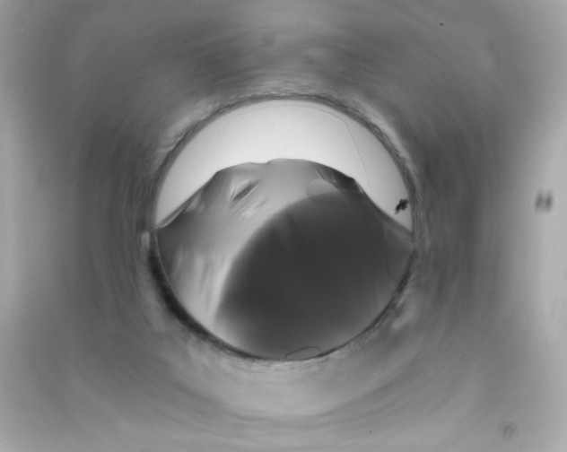X0000090440019200708102037