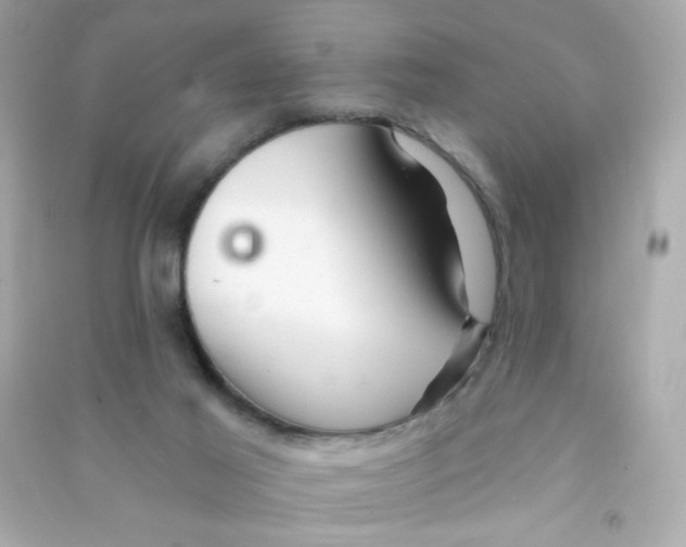 X0000090440021200708102037