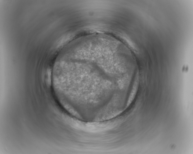 X0000090440022200708102037