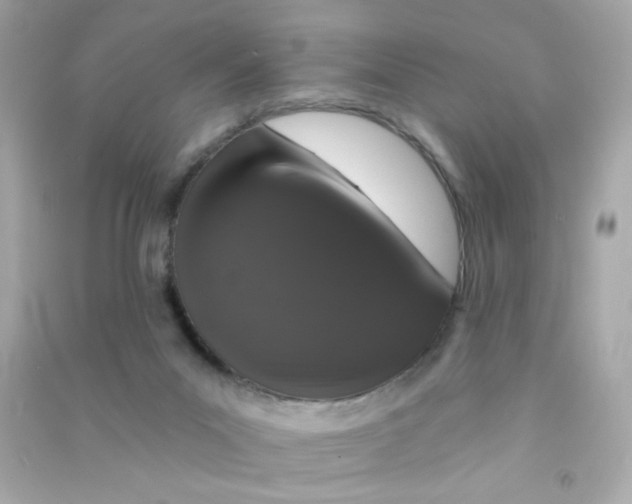X0000090440023200708102037