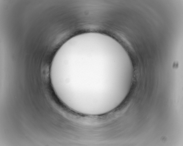 X0000090440024200708102037