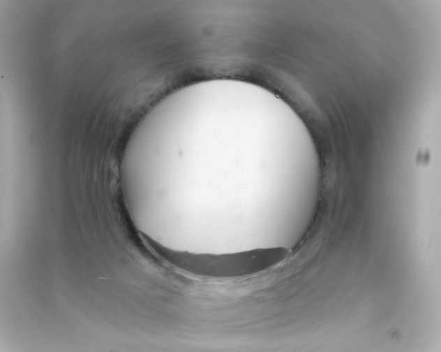 X0000090440025200708102037