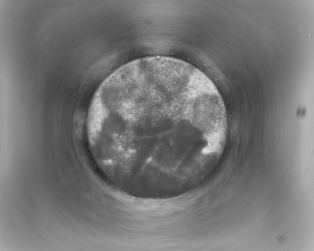 X0000090440026200708102037