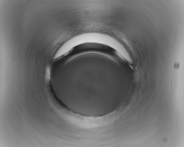 X0000090440027200708102037
