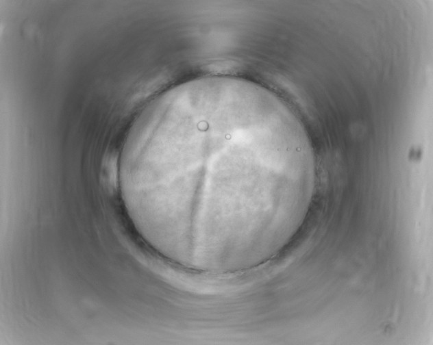 X0000090440028200708102037