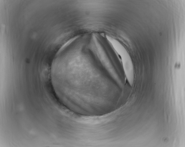 X0000090440029200708102037