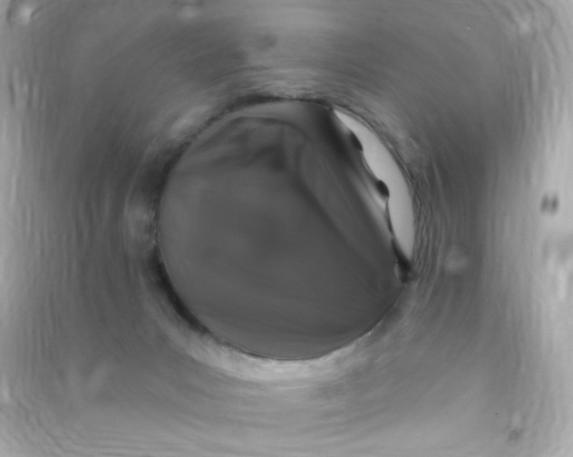 X0000090440031200708102037