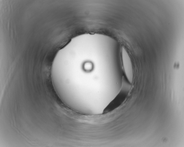 X0000090440033200708102037