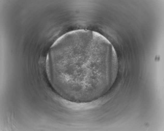 X0000090440034200708102037