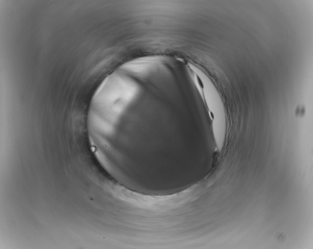 X0000090440035200708102037