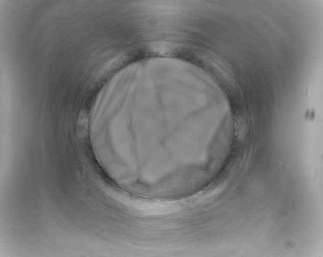 X0000090440036200708102037
