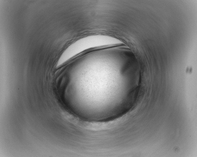 X0000090440037200708102037