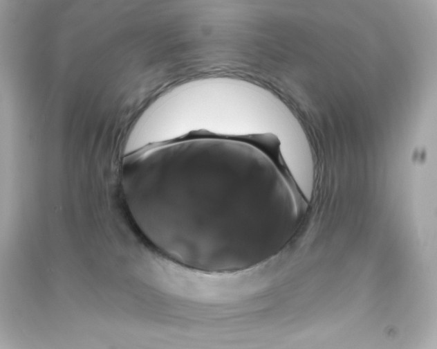 X0000090440039200708102037