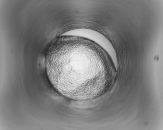 X0000090440041200708102037