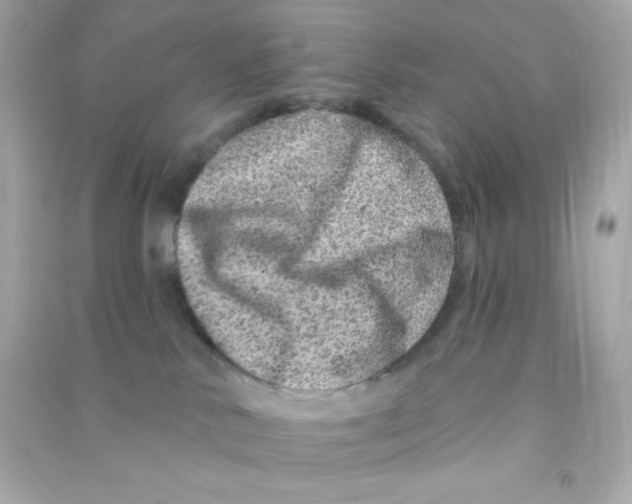 X0000090440042200708102037