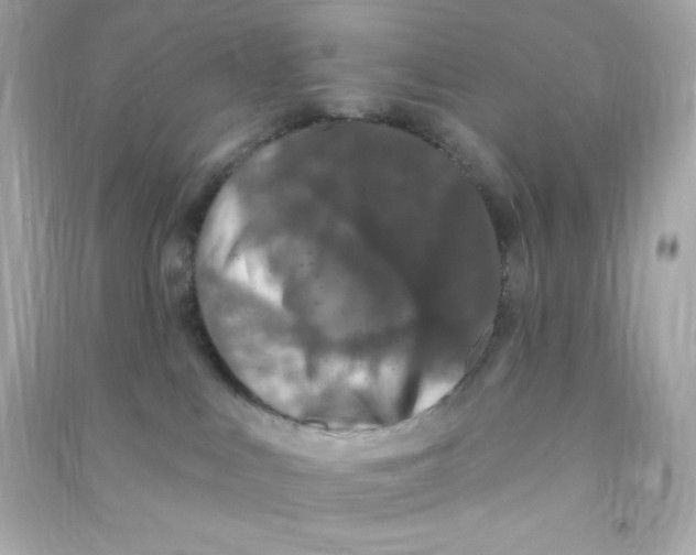 X0000090440043200708102037
