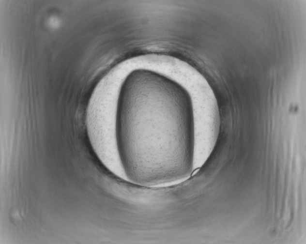 X0000090440044200708102037