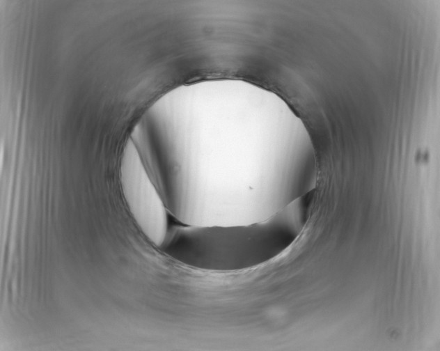 X0000090440045200708102037