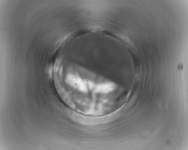 X0000090440047200708102037