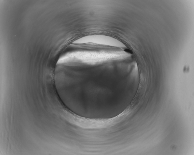 X0000090440048200708102037