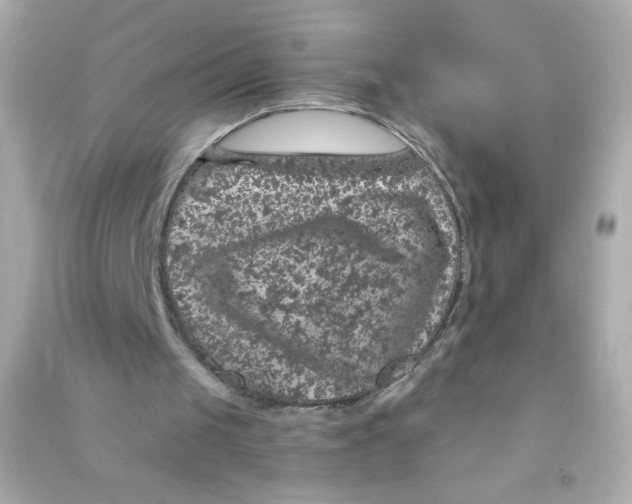 X0000090440049200708102036