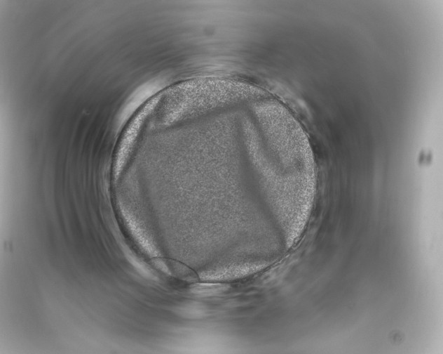 X0000090440051200708102036