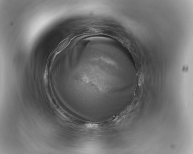 X0000090440052200708102036