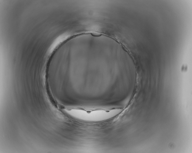 X0000090440054200708102036
