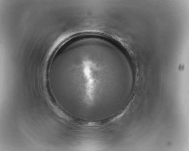 X0000090440056200708102036