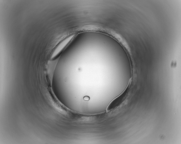 X0000090440057200708102036